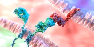 MaxVal Next CAR T Cell20Therapy 3