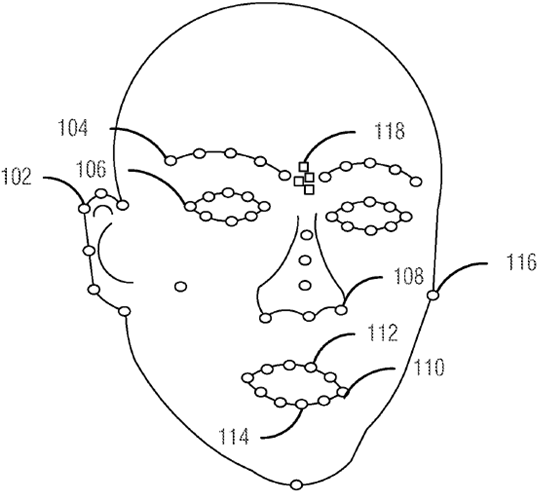 facial animation