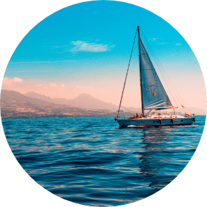 culture-ico