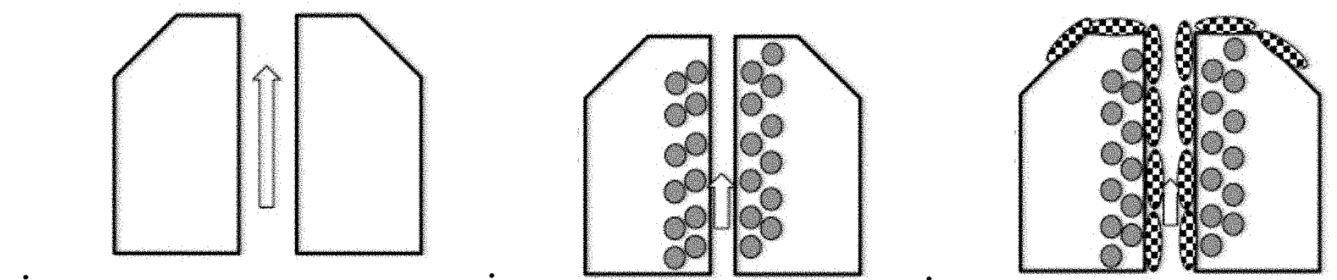 Lactic Acid Bacteria and Their Use for the Treatment of Mastitis