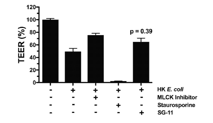 Proteins for the Treatment of Epithelial Barrier Function Disorders