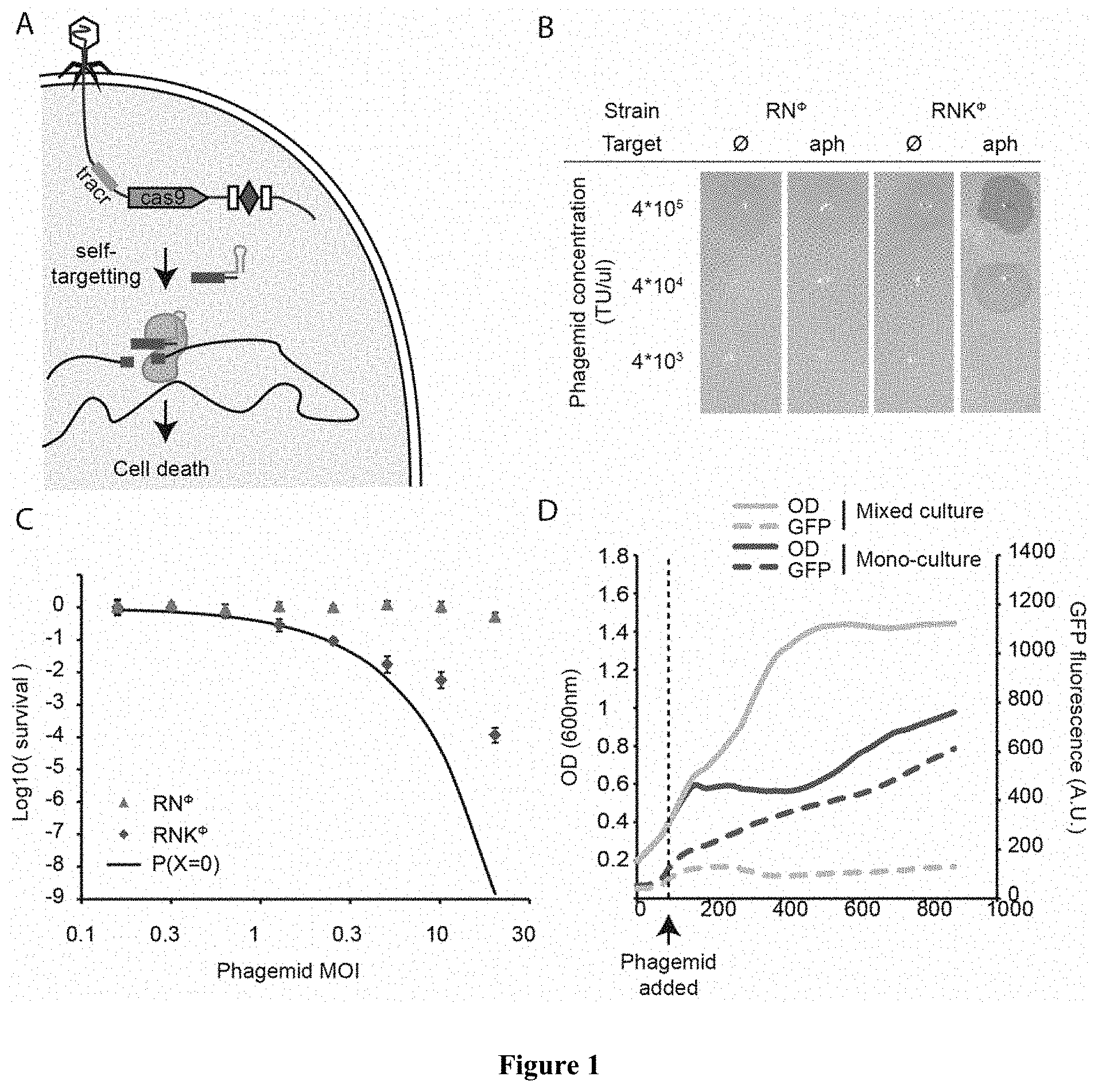 Altering Microbial Populations & Modifying Microbiota