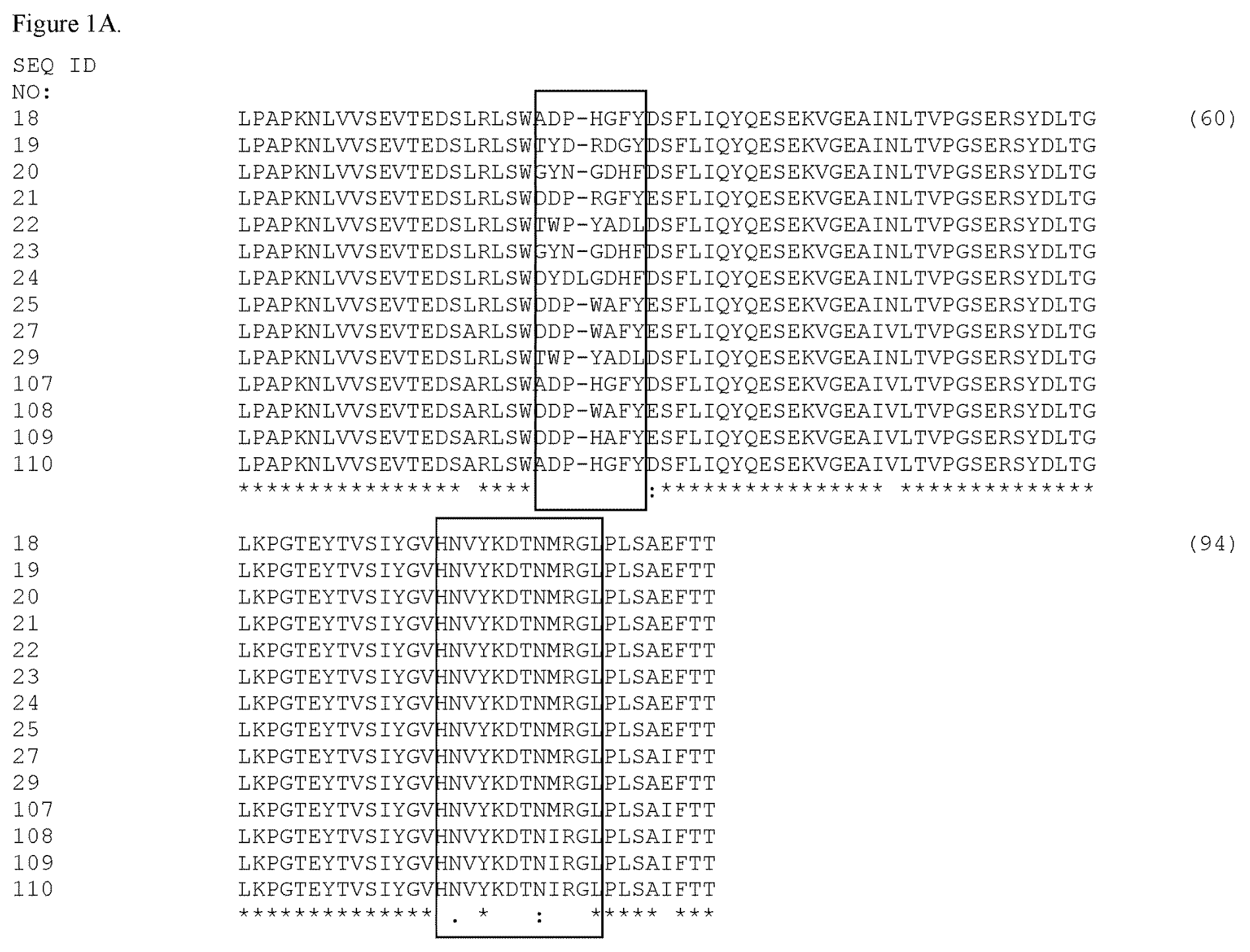 Bispecific EGFR/c-Met Antibodies