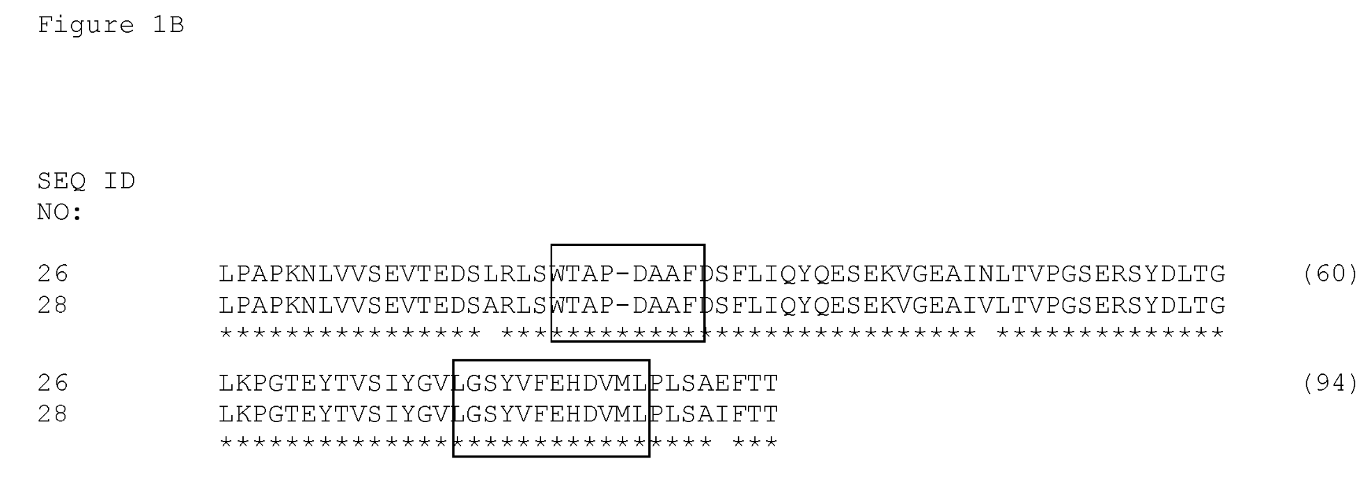 EGFR and c-Met Fibronectin Type III Domain Binding Molecules