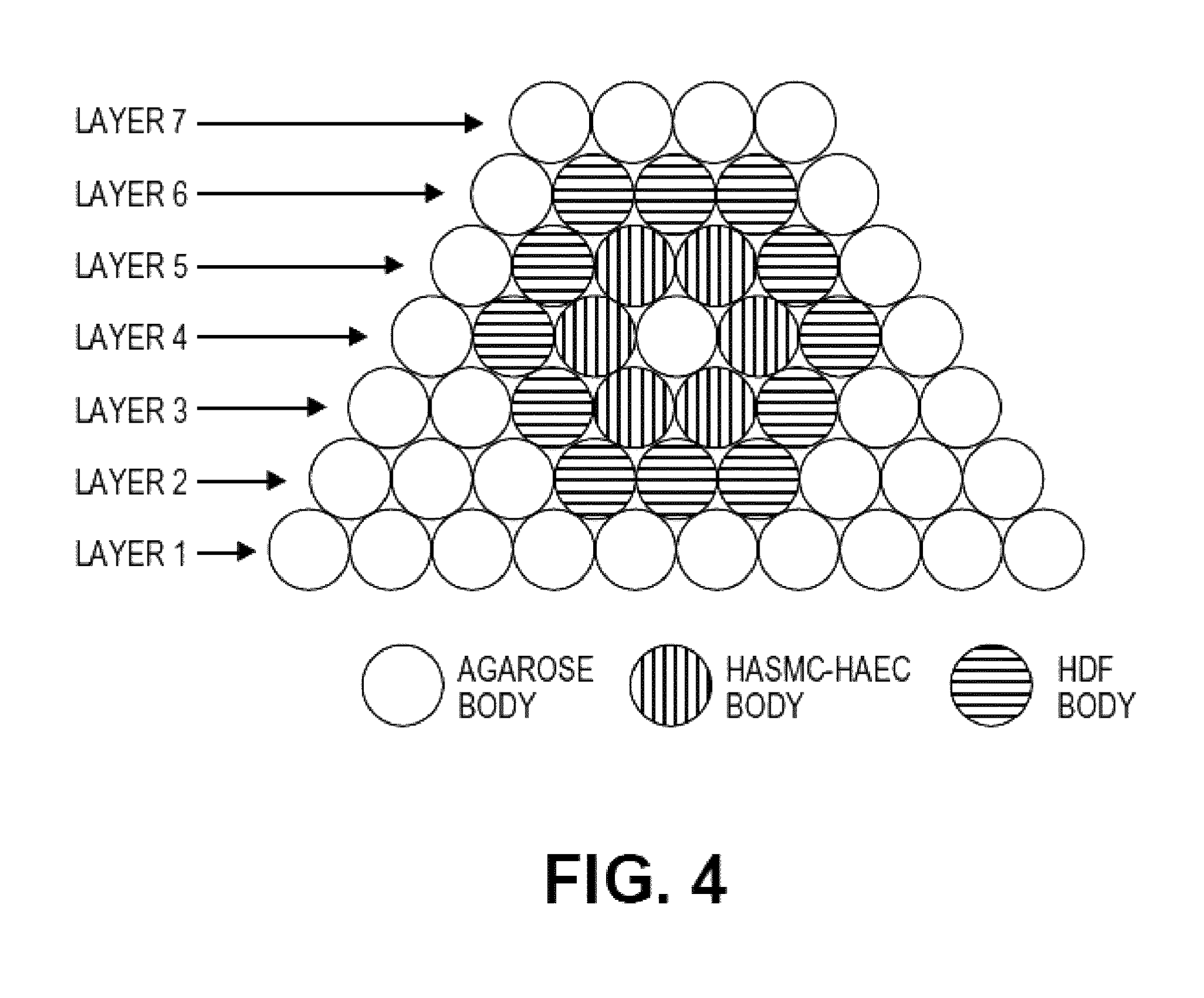 Fabrication of Tissue