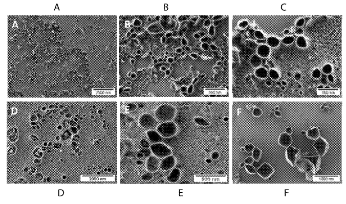 Roche Eyes a Patent for Nano-Enzyme Containers for Test Elements