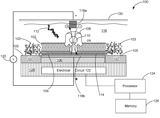 Roche Eyes a Patent for Methods for Forming a Nanopore in a Lipid Bilayer