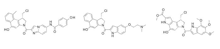 Merck Aims to Patent a Combination Therapy Utilizing DNA Alkylating Agents and ATR Inhibitors