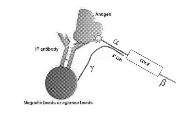 Patent Spatially Oriented Quantum Barcoding of Cellular Targets