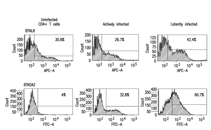 Merck Seeks a Patent for Methods of Using Butyrophilin Antibodies for Treating HIV Infection