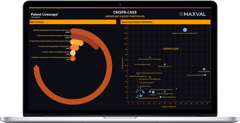 Patent LiveScape Dynamic Patent Landscape Analysis